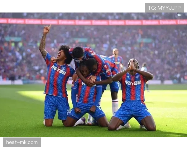 芬兰国家队欧预赛表现亮眼,黑马力量引发广泛关注